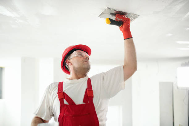 Trusted Wyldwood, TX Mold Removal Experts